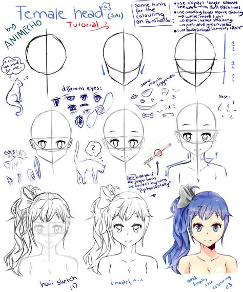 Manga Girl Head Tutorial On Painttoolsai By Animecho On Deviantart