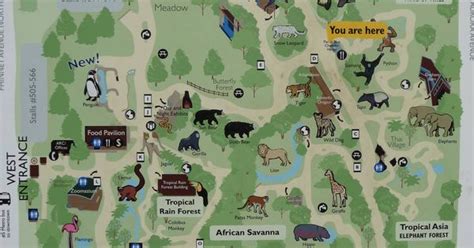 Woodland Park Zoo Map Seattle Pinterest Parks Woodland Park And Maps