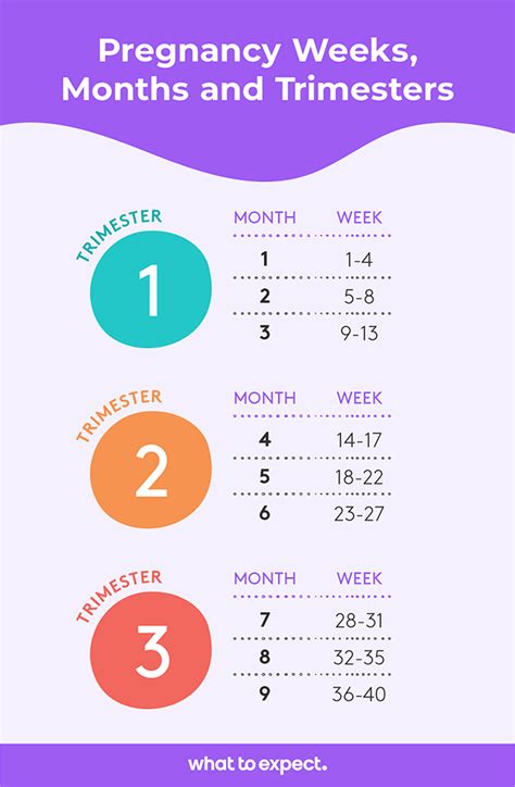 Pregnancy Weeks To Months How Many Weeks Months And Trimesters In A