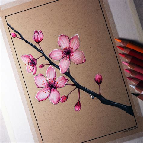 Cherry blossoms, daisies, roses, peonies, ferns, daffodils, dandelions, & more Cherry Blossom Drawing by LethalChris on DeviantArt