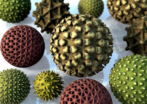 Flynn's classification, system attributes to performance, parallel computer models multiprocessors and multicomputer, multivector and simd computers. Pollen grains, computer artwork - Stock Image - B786/0920 ...