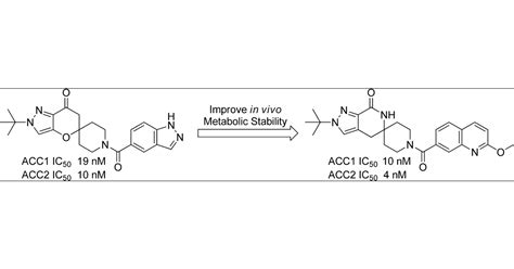 Spirolactam Based Acetyl Coa Carboxylase Inhibitors Toward Improved