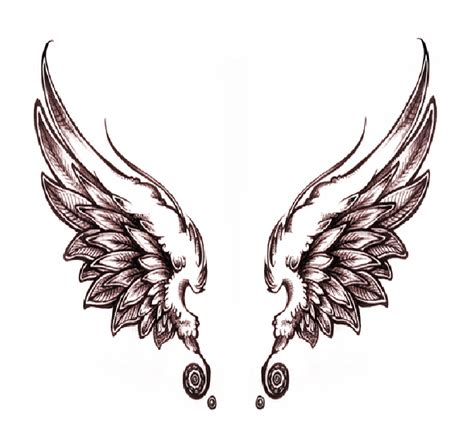 Drawing Cartoon Angel Wings Simple Angel Wings Drawing