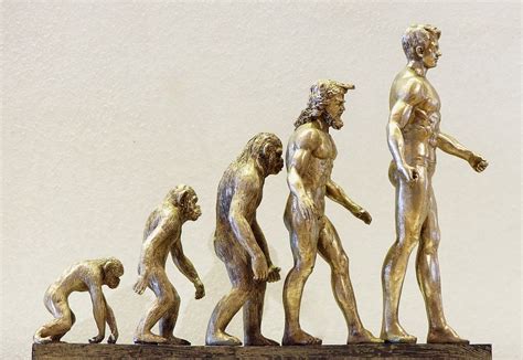 Evolutionary Psychology Definition Humans Behavior And Evolving