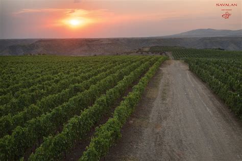 Savalan Aspi Winery Winery In Azerbaijan