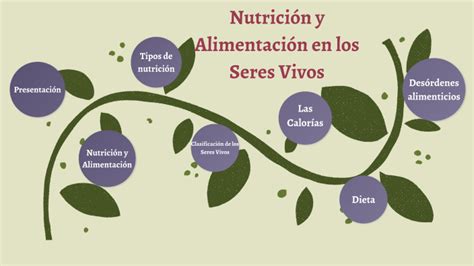 Nutricion Y Alimentacion En Los Seres Vivos By Mayelyn Rijo