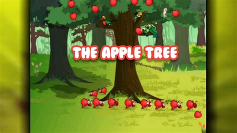 The Apple Tree Story Sr Kg Stories Youtube