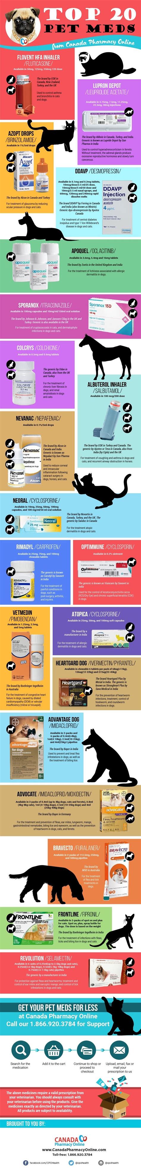 Looking for affordable pet medications? Top 20 Pet Meds from Canada Pharmacy Online #infographic ...