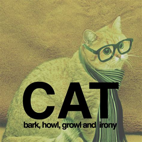 [image 133135] starecat grafics cat know your meme