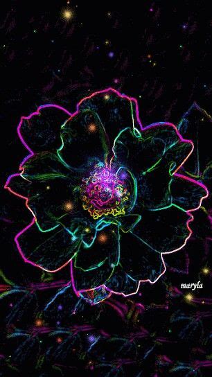 Neon Flower Animation Animated Images Beautiful 