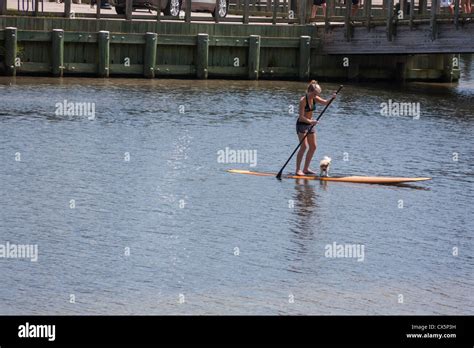 Paddle Boarding On The Lake Stock Photo Alamy