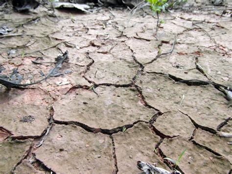 Dry Cracked Earth Free Stock Photo Public Domain Pictures