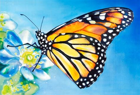 Painting Ideas Aesthetic Butterfly Bmp Level