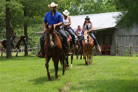 Horseback Riding London Strathroy Bed And Breakfast Texas Longhorn Ranch