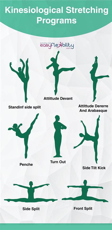 Balletfitness Dancer Flexibility Training Program For Ballet And