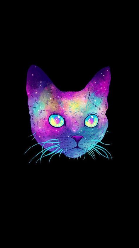 Hipster Galaxy Cat Wallpapers Top Những Hình Ảnh Đẹp