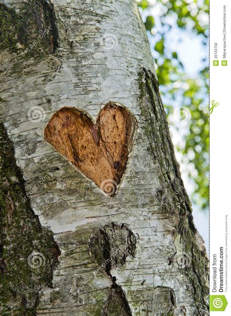We have been working all month, planning, designing, testing and perfecting something new and unique. Carved Heart In Tree Royalty Free Stock Photos - Image ...