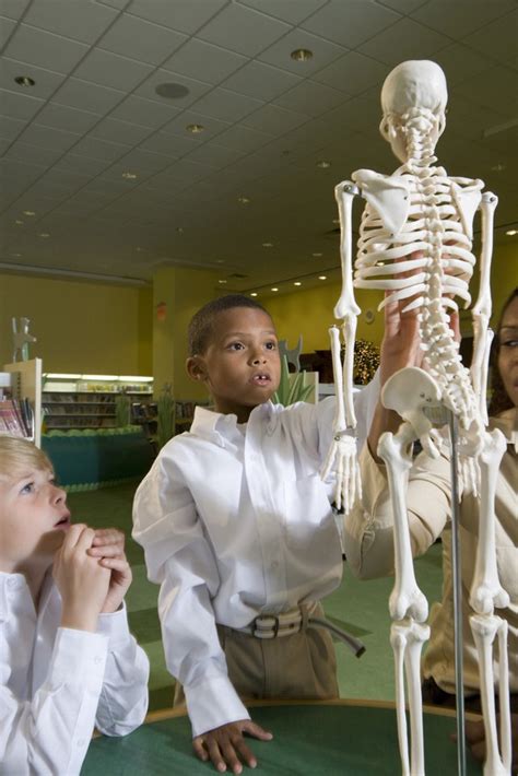 Like other parts of our body bones keep changing all the time. Major Bones of the Skeletal System | Livestrong.com