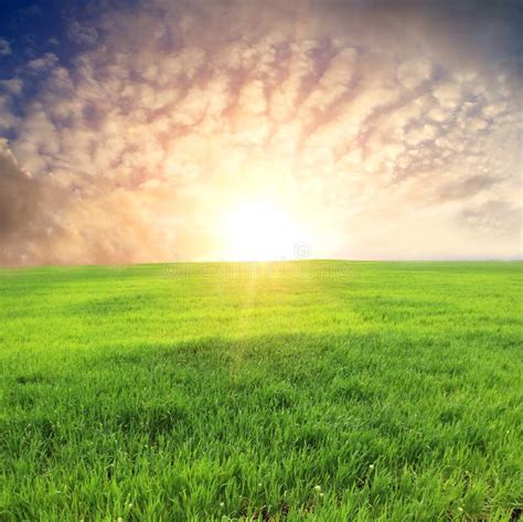 Sunset Over Green Meadow Stock Image Image Of Summer 9648137