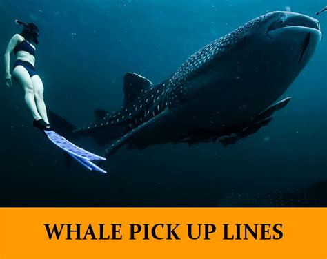 Whale Pick Up Lines Funny Dirty Cheesy