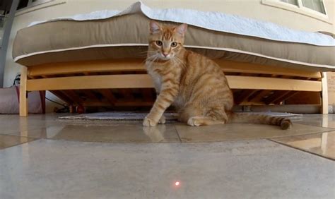Get auto insurance quotes at allstate.com. Cat laser pointer commercial. Are laser pointers good toys ...