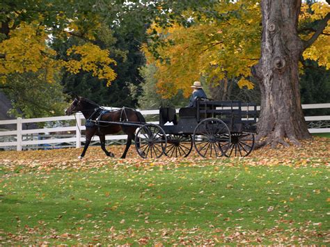 Explore Ohios Amish Country