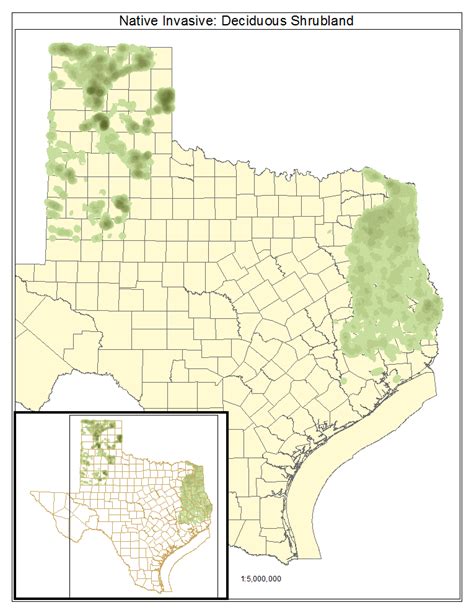 Mainly Natural Azonal Mapped Types — Texas Parks And Wildlife Department