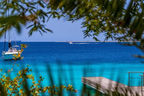 By tanya deen for the bonaire insider | may 21, 2021 | events, restaurants & dining. Appartement Bonaire - Vakantie appartementen huren | TUI