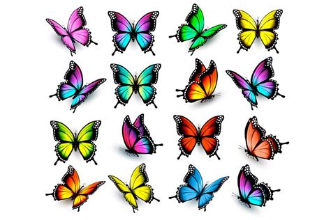 Colorful Butterflies Set Vector Creative Daddy