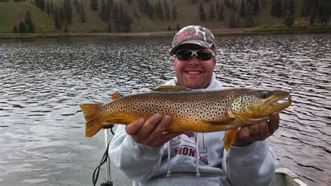 Montana Trout Fishing Clark Fork River German Brown