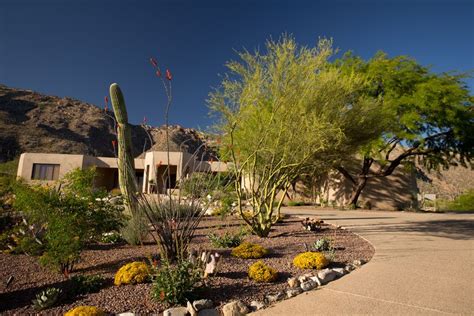 Xeriscapes Tucson Az Sonoran Gardens Inc Desert Landscaping