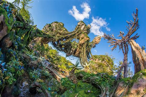 Pandora Land 0515017 1 Blog Mickey Disney News