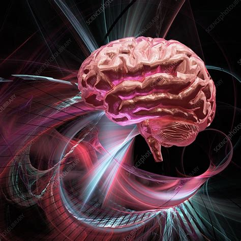 Brain Research Conceptual Artwork Stock Image F0034157 Science