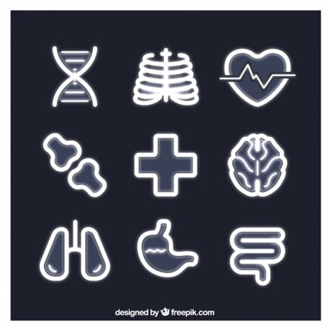 X Ray Icon 315980 Free Icons Library