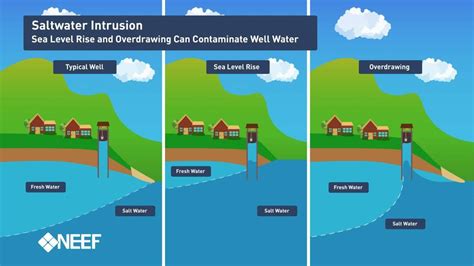 What Is Saltwater Intrusion Mywaterearthandsky