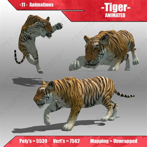 3d Asset Tiger Animated Cgtrader