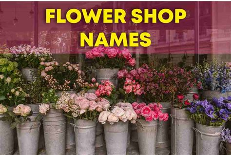 350 Flower Shop Names A Guide To Choosing Memorable And Unique Naming