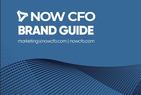 Now Cfo Brand Guide 2022 Now Cfo