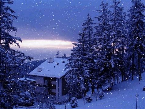 Falling Snowso Peaceful Beautiful Winter Scenes