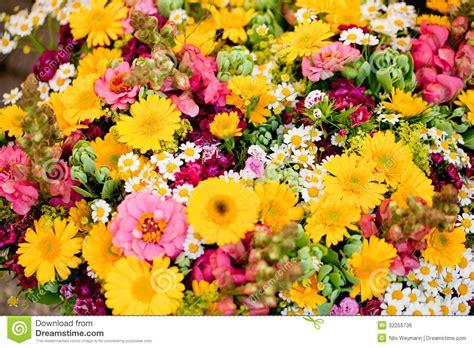 Beautiful Colorful Collection Of Flowers Spring Summer