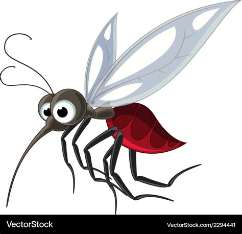 Mosquito Cartoon Image