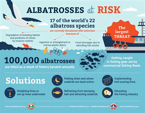 Save The Albatross Friend Of The Earth