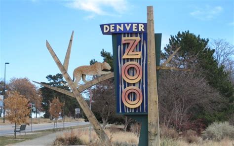 Denver Zoo Denver Zoo City Zoo Zoo
