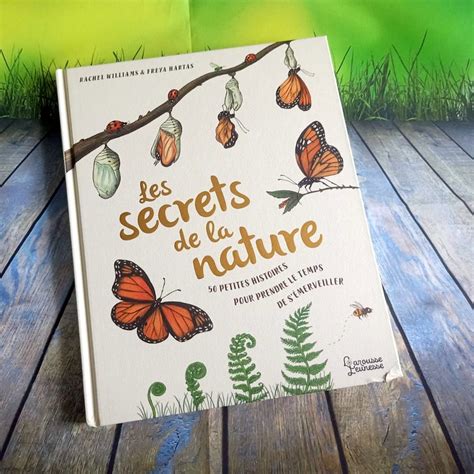 Les Secrets De La Nature Livre Jeunesse Livre Enfant Livre Ado