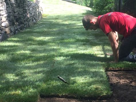 New construction lawn installation cost. New Lawn Installation - Sod Installation - Landscaping ...