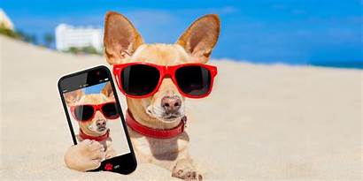 Selfies Phone Dog Mobile 90s Species Characters