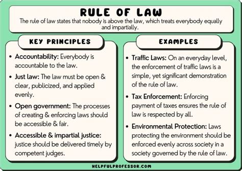 10 Rule Of Law Examples 2023