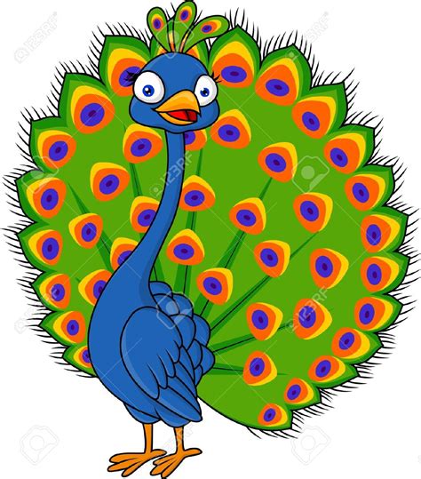 Peacock Clip Art