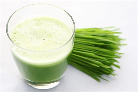 What Are The Benefits Of Drinking Wheatgrass Juice