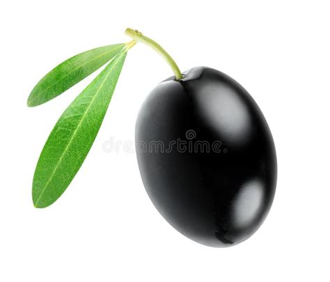 Black Olive Ornamental Peppers Stock Photo Image Of Leaf Patch 60742284